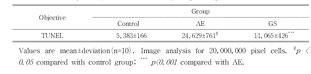 The Image Analysis for TUNEL assay in quadriceps muscle