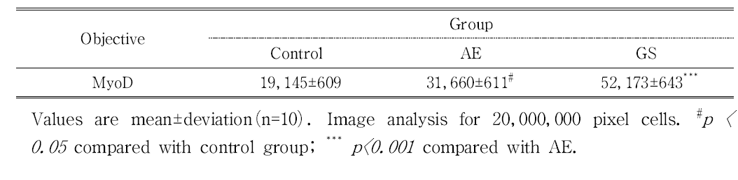 The Image Analysis for MyoD Positive Reactions