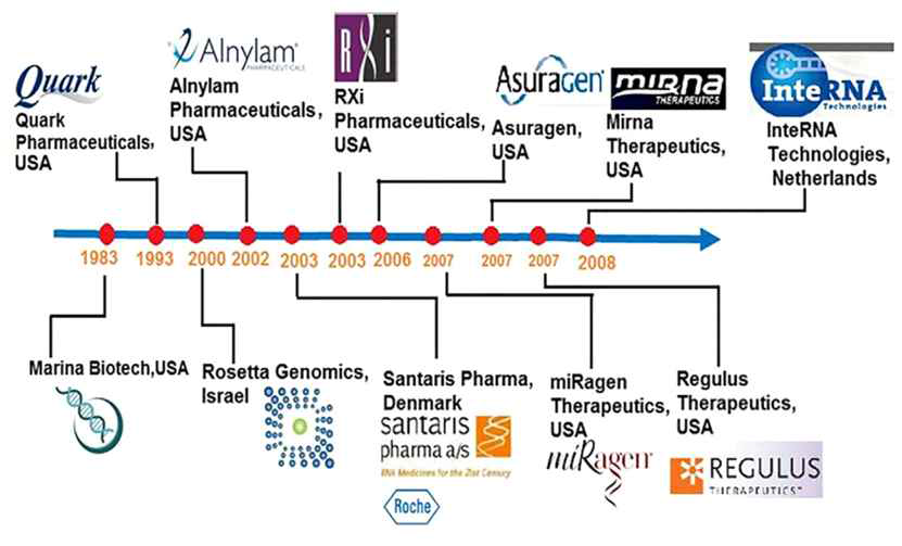 miRNA 및 siRNA 치료제를 기반으로 하는 국외 제약회사 및 설립년도