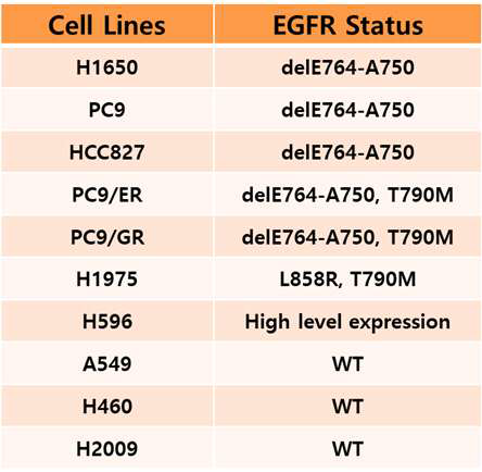 폐암세포주의 EGFR genomic mutation state