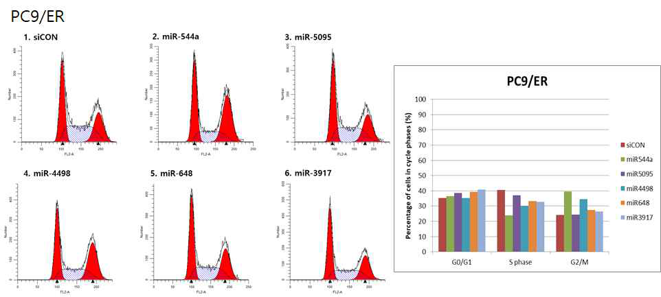 miRNA 후보군에 의한 cell cycle 분석 - PC9/ER cell line