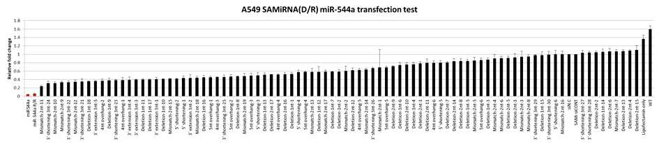 SAMiRNA sense strand 변경을 통한 apoptosis 유발 효능 비교