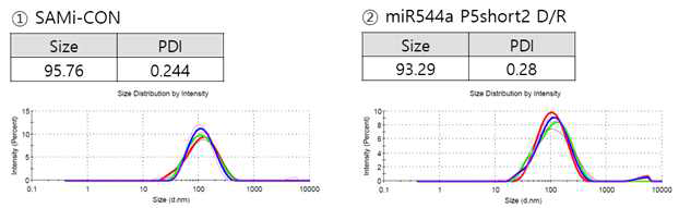 SAMi-CON과 SAMi-miR544a P5short2D/R의 동결건 조 과정 후 size와 PDI 결과