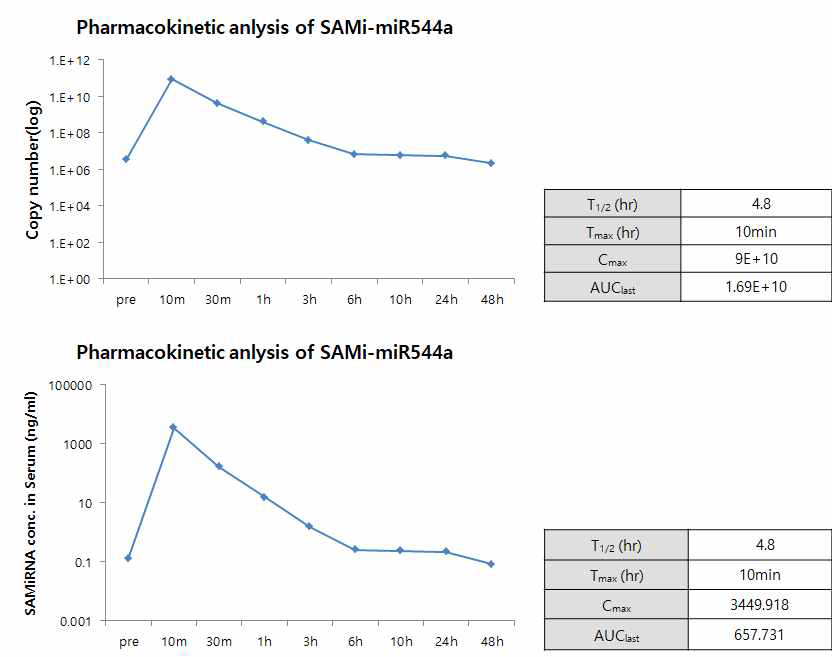 SAMi-miR544a의 약동학 분석. 군 평균으로 표시함