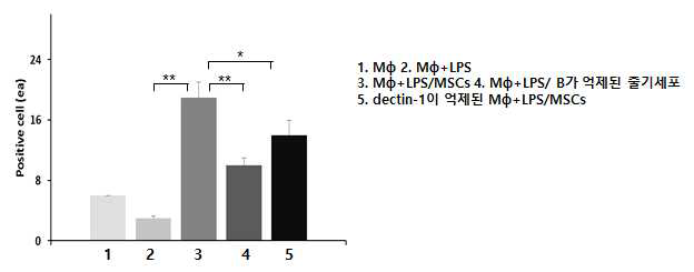 MSK 1/2 발현 측정