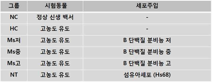 시험군 구성