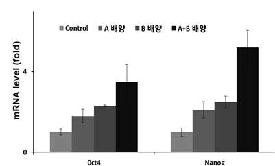 제대혈 유래 간엽줄기세포의 줄기세포능 비교