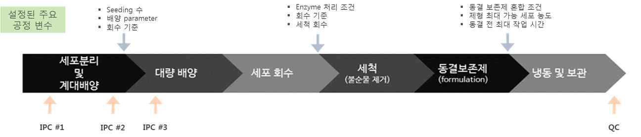 최적 생산 배양법의 전체 scheme 및 설정된 주요 공정 변수