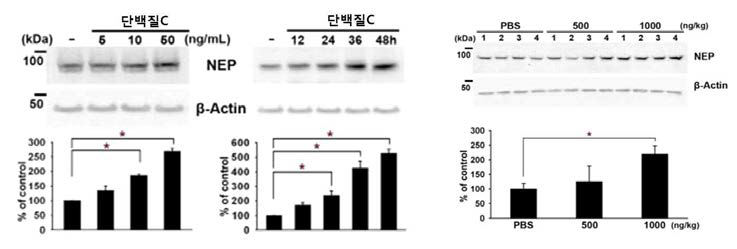 역가 단백질 C 처리에 의한 NEP의 발현 유도