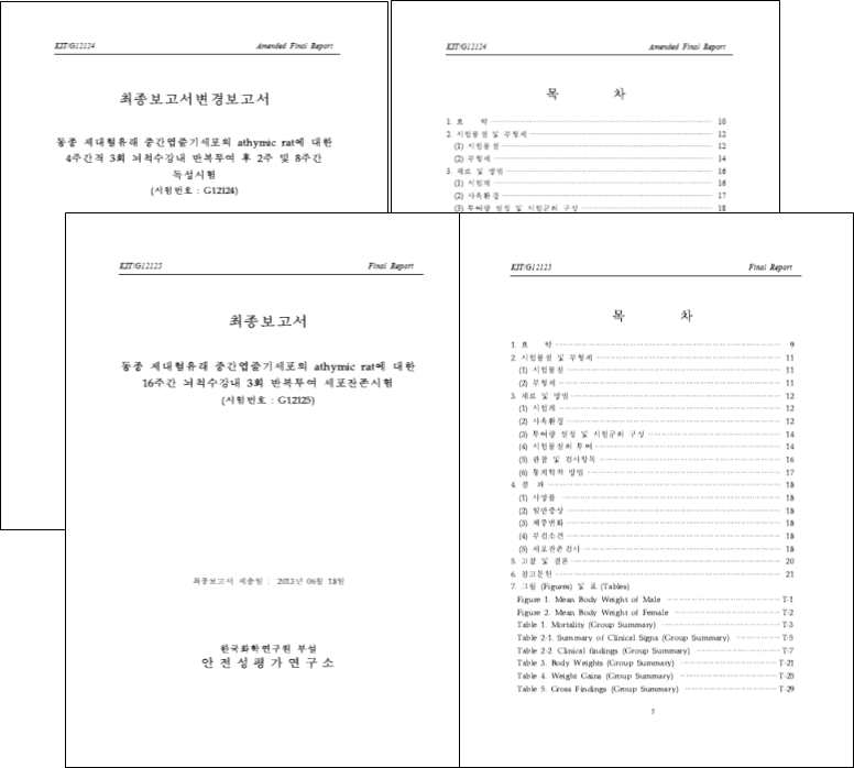 안전성 시험 보고서 표지 및 목차
