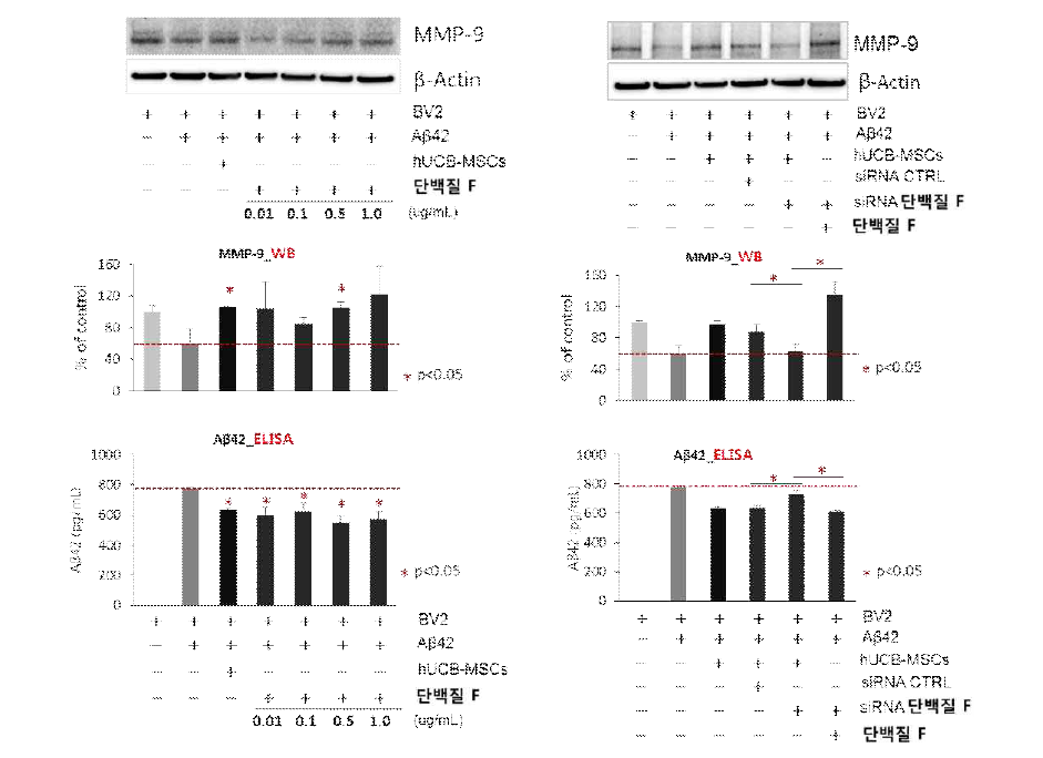 역가 단백질 처리 조건 또는 발현을 knockdown한 조건에서 아밀로이드 베타 억제와 아밀로이드 베타 분해 효소의 상관 관계 검증