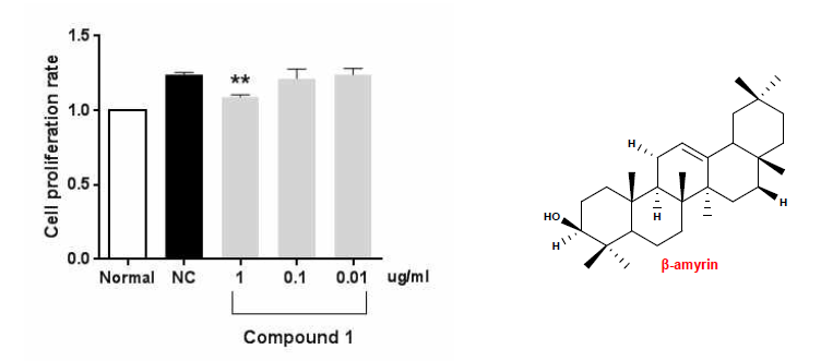 the cell proliferation rate in mesangial cell.