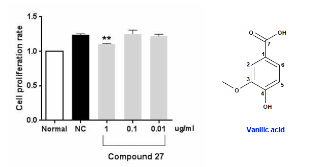 the cell proliferation rate in mesangial cell.