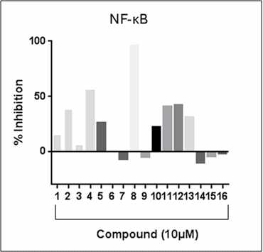 Inhibition assay of NF-kB in Human T lymphocytic Jurkat cells.