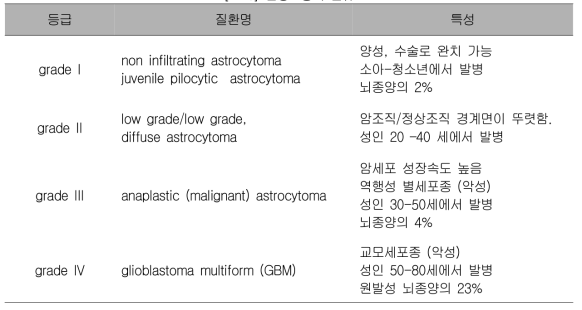 신경교종의 분류