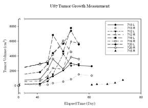 tumor growth 측정