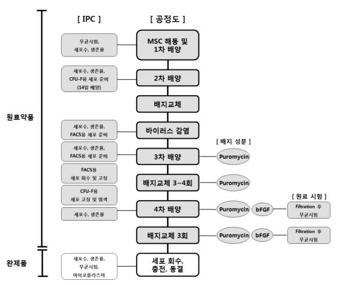 뇌종양 유전자세포치료제 마스터세포은행 제작을 위한 공정도