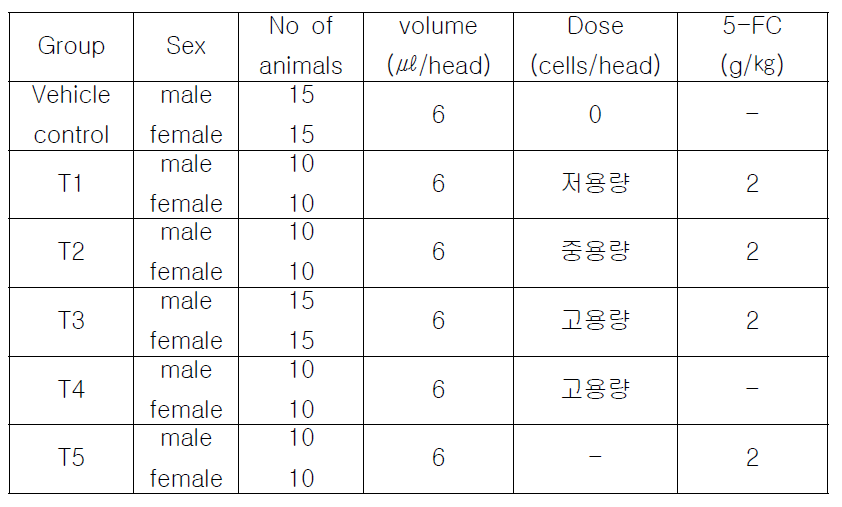 군 구성 및 투여용량