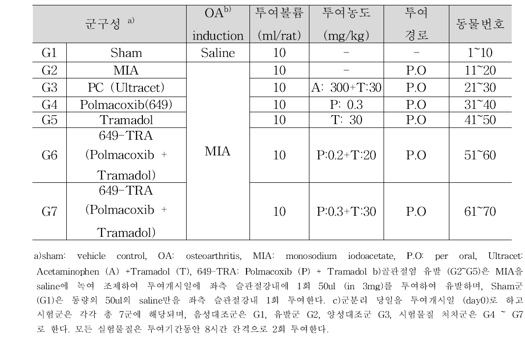 MIA 유도 골관절염 적용 진통/염증 평가 시험군 구성