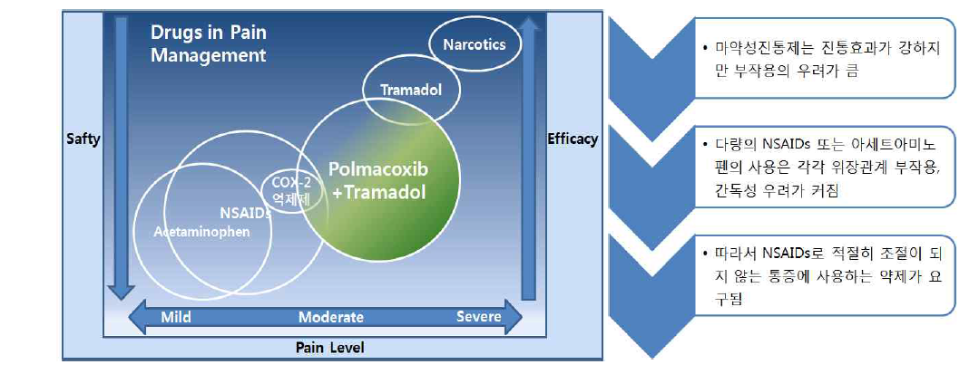 Polmacoxib+Tramadol 복합제의 Positioning Strategy