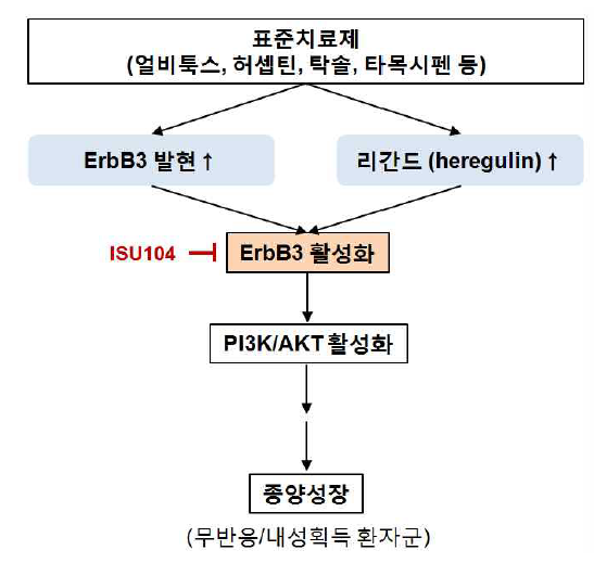 기존 항암제의 내성 획득 기전