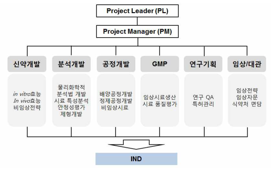 주관기관의 연구개발 추진체계