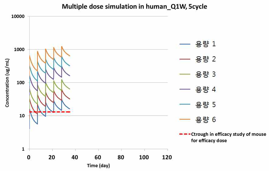 주 1회로 5회 반복투여 시의 ISU104 혈중 농도 예측