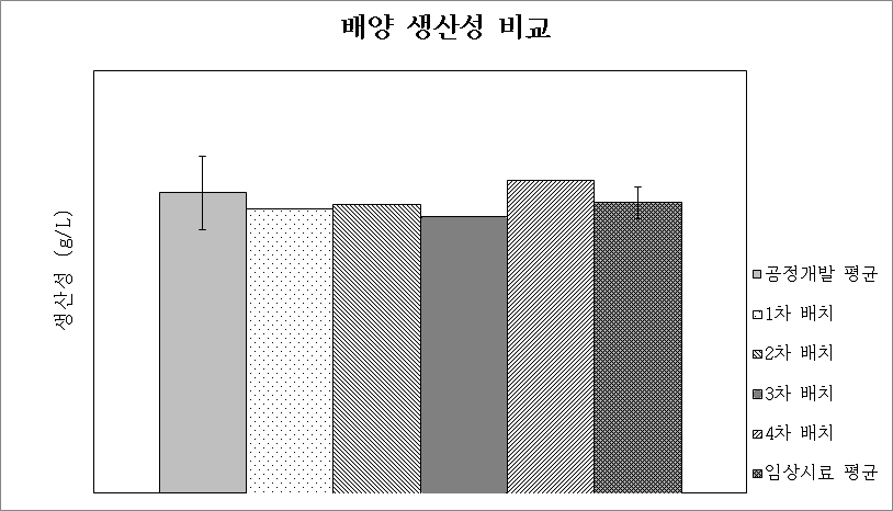 임상 배치별 생산성 비교