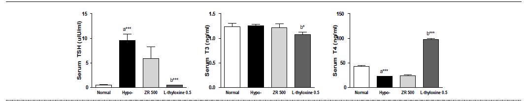 갑상선기능저하증(Hypo-) 흰쥐 모델에서 열성약인 건강추출물(ZR)의 혈액 내 갑상선호르몬(TSH, T3, T4) 변화에 대한 효능 평가