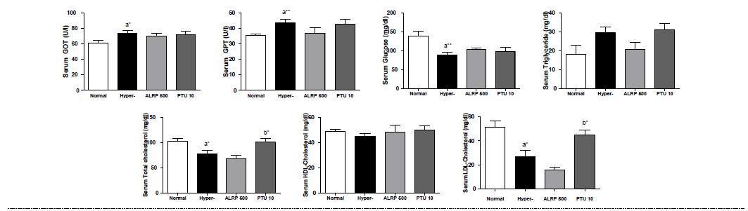 갑상선기능항진증(Hyper-) 흰쥐모델에서 열성약인 포부자추출물(ALRP)의 혈액마커(GOT, GPT, glucose, triglyceride, total cholesterol, HDL-cholesterol, LDL-cholesterol) 변화에 대한 효능 평가