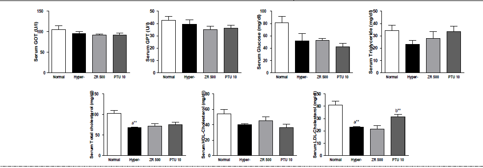 갑상선기능항진증(Hyper-) 흰쥐모델에서 열성약인 건강추출물(ZR)의 혈액마커(GOT, GPT, glucose, triglyceride, total cholesterol, HDL-cholesterol, LDL-cholesterol) 변화에 대한 효능 평가.