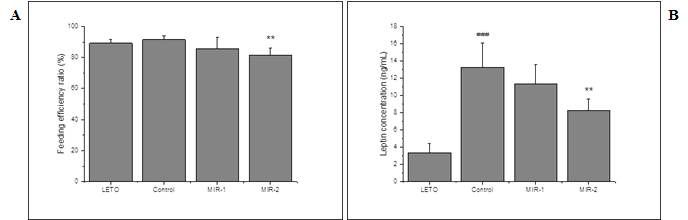 Total feeding efficiency ratio (A) and fasting plasma leptin levels (B) in OLETF rats