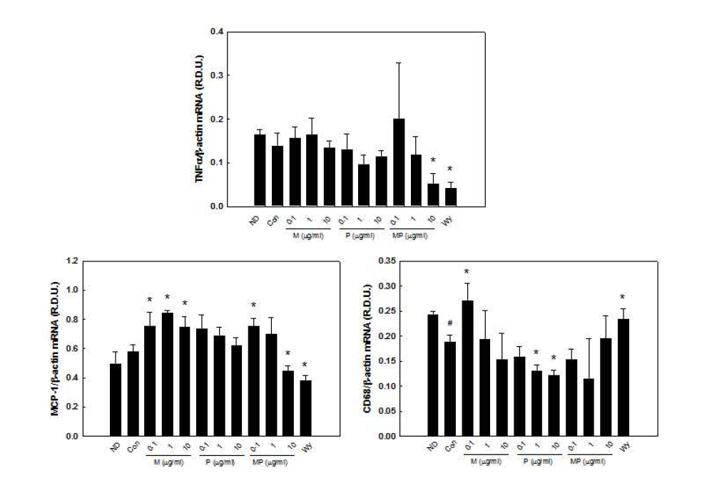 Expression of inflammatory cytokines in 3T3-L1 cells