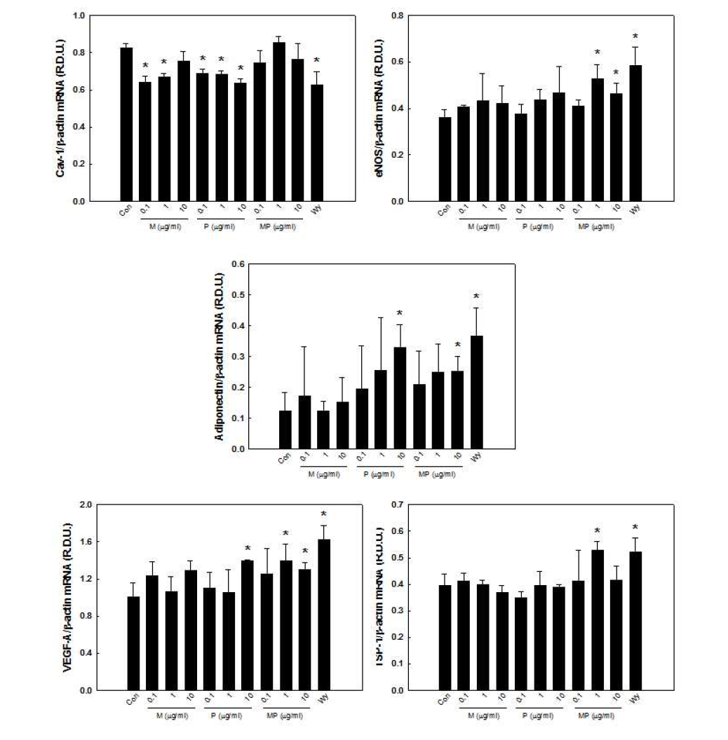 Expression of genes involved in vascular endothelial dysfunction in human umbilical vein endothelial cells