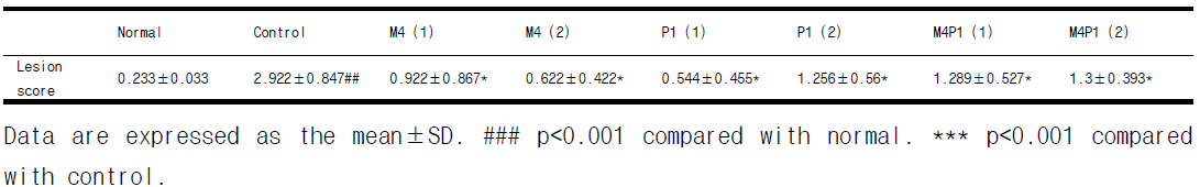 Histological analysis of hepatic lipid accumulation in high fat diet-fed obese C57BL/6N mice