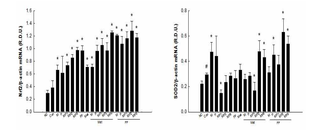 Effects of combinations of MIR components, metformin, and fenofibrate on mRNA levels of genes involved in antioxidation in HepG2 cells