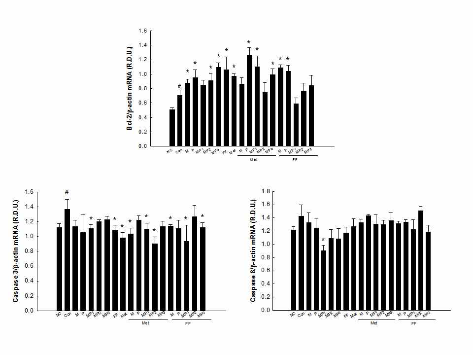 Effects of combinations of MIR components, metformin, and fenofibrate on mRNA levels of genes involved in apoptosis in HepG2 cells