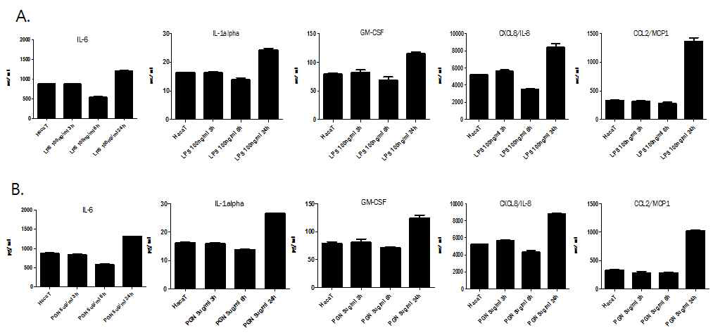 HaCaT 세포주에서 PGN 및 LPS에 의한 염증관련 지표들의 단백질 발현량 변화