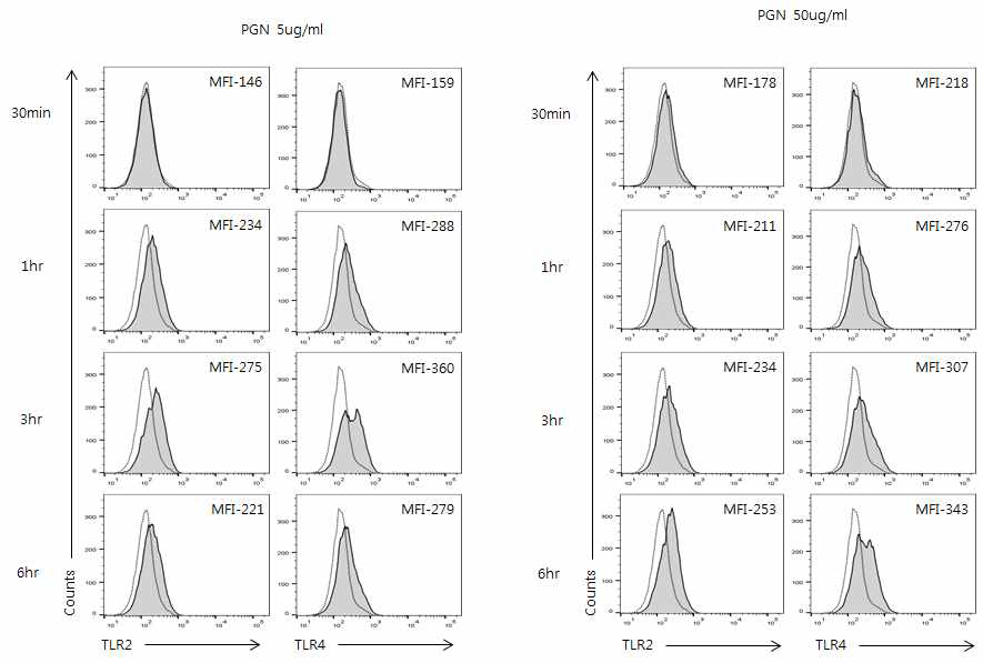 HaCaT 세포주에서 PGN의 시간에 따른 TLR2 및 TLR4 세포표면 단백질 발현량 변화