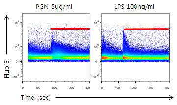 THP-1 대식세포주에서 PGN 및 LPS에 의한 세포내 칼슘 변화