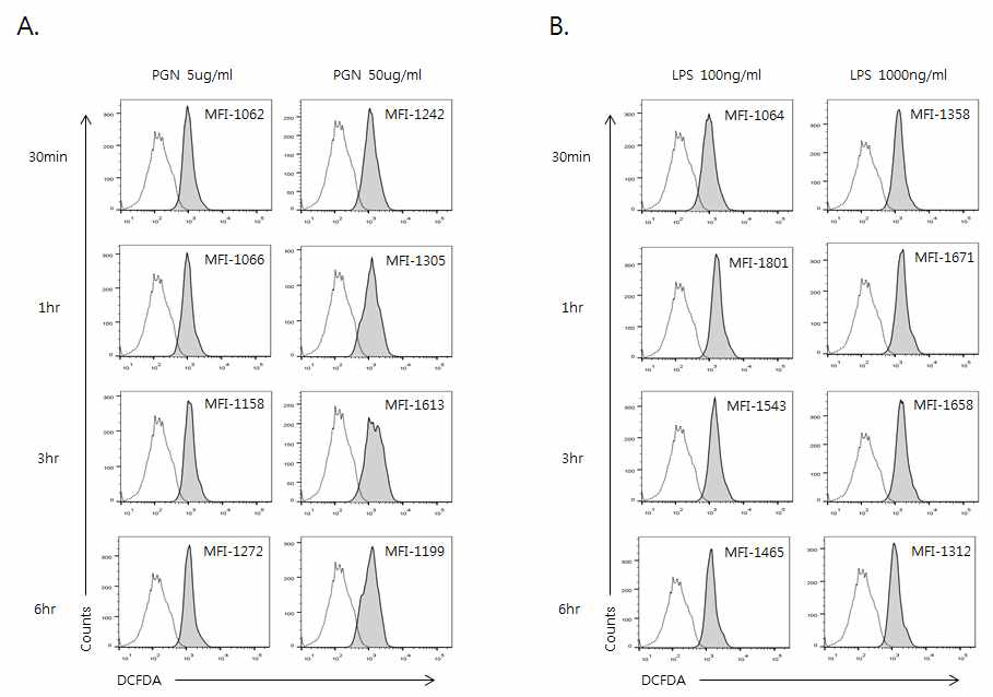 HaCaT 세포주에서 PGN 및 LPS의 시간에 따른 ROS(활성산소) 변화