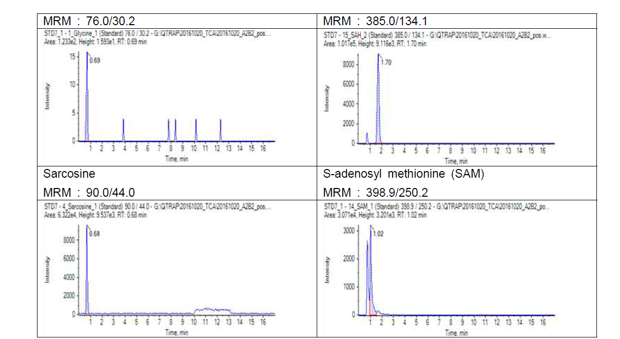 질량분석기의 다중반응검지법(Multiple Reaction monitoring, MRM)을 활용한 TCA cyle metabolism관련 분석된 주요대사체들의 XIC(Extracted ion chromatogram) - positive ion mode