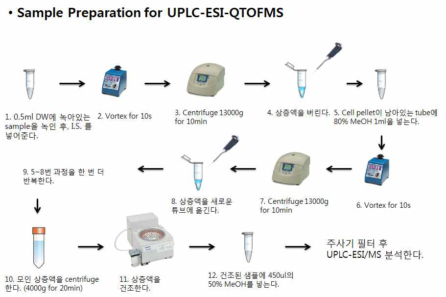 LC-ESI-QTOFMS 분석을 위한 세포시료의 전처리과정