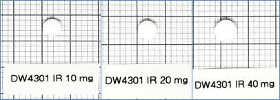 IR 10mg, 20mg, 40mg 정