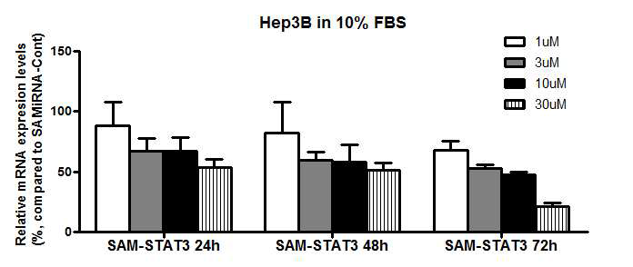 고농도 Modified SAMiRNA-STAT3에 대한 시간 별 표적 유전자 발현 저해 결과