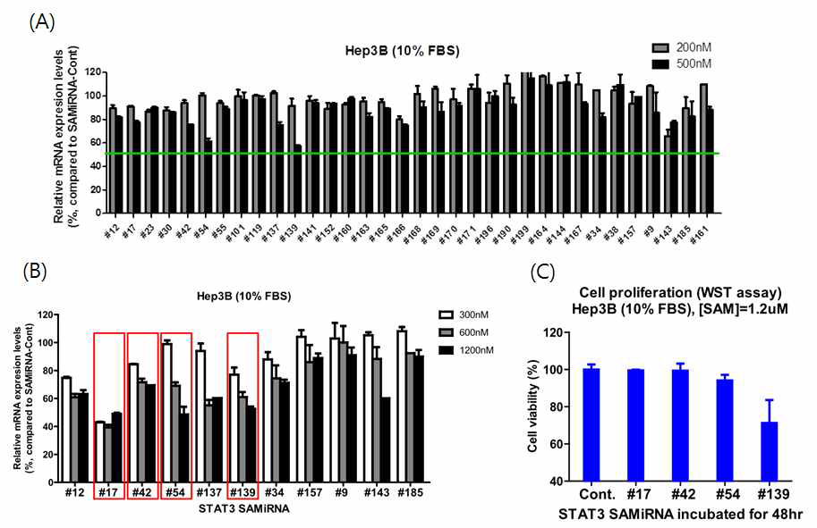 Hep3B 간암세포주에서 STAT3-SAMiRNA 후보물질군의 STAT3 발현 억제 (A, B) 및 세포 증식 억제 효과 (C)