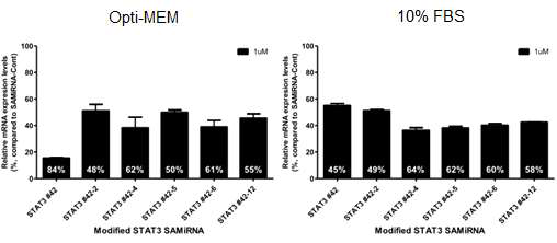 배지 내 serum 유무에 따른 STAT3-SAMiRNA의 표적유전자 발현 저해 효과 비교