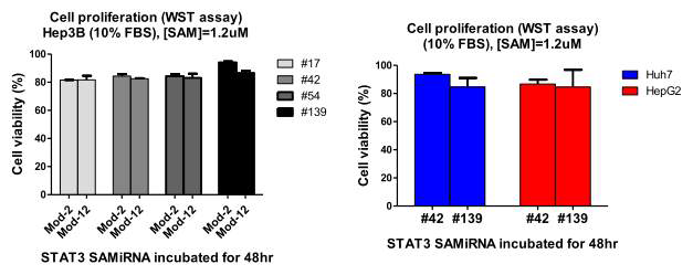 간암세포주 3종에서 STAT3-SAMiRNA의 세포 증식 억제능 비교