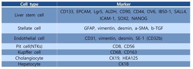 RT-PCR을 위한 primer set: 간암줄기세포 마커