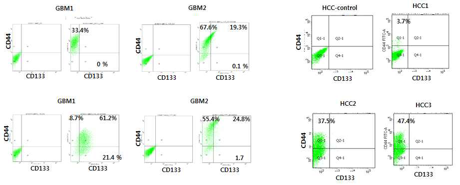 FACS data for CD133/CD44 positive cells